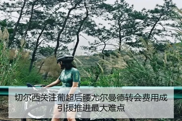 切尔西关注葡超后腰尤尔曼德转会费用成引援推进最大难点